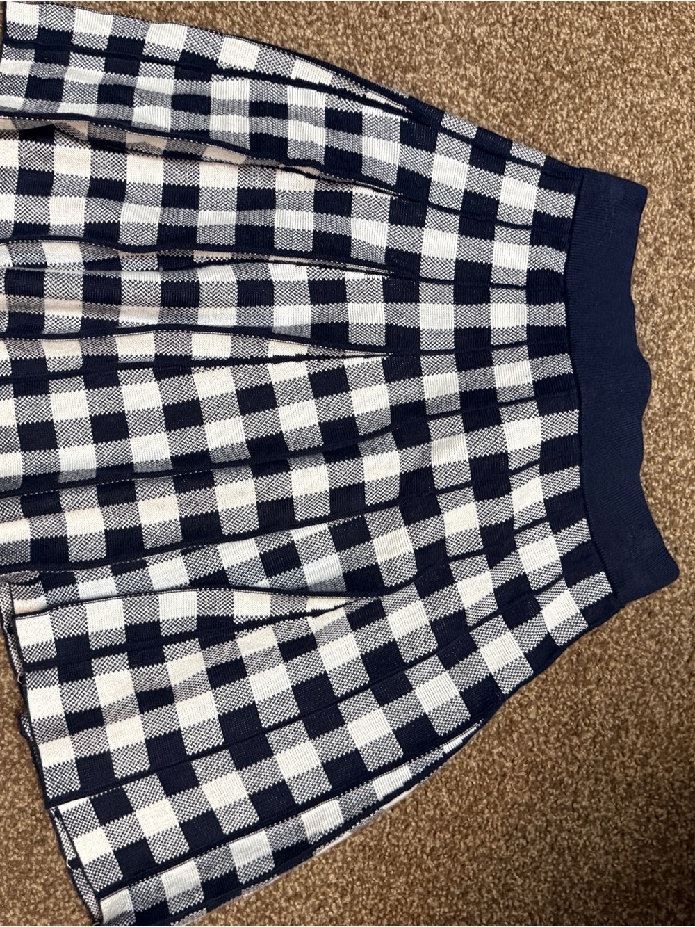 Women's Navy and White Gingham Pleated Skirt